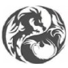 Technical Support Advisor logo