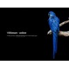 ViStream GmbH
