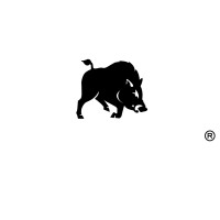 Systems Administrator I logo