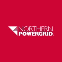 Telecoms Data Engineer logo