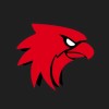 red eagle studios