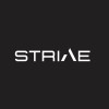 strive