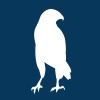 Bluehawk Consulting