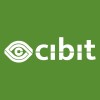 cibit