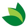 Green Lotus Digital Marketing Agency