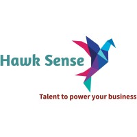 Hawk Sense Business Solutions Pvt Ltd (formerly known as Hawk Sense Security Systems Pvt Ltd)
