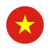 High-paid Jobs for Vietnamese Talents