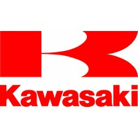 Software Developer logo