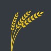 Senior Sql Database Administrator logo