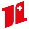 techfirm information systems
