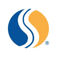 Director of Business Intelligence logo