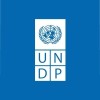 undp in the arab states region