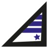 Motion Designer/ Video Editor - Remote logo