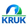 Identity and Access Management Engineer logo