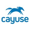 Product Manager logo