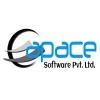 Sr. Python Developer logo