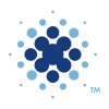Business Intelligence Developer logo