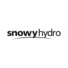 Senior Network Engineer logo