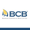 Senior Network Engineer logo