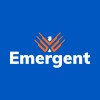 Enterprise Resources Planning Business Analyst logo
