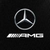 Graduate Software Engineer (Race Team) logo