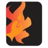 Junior Web Developer logo