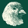 finch