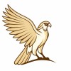 arabian private holdings