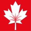 canadian university dubai