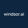 windsor.ai