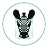 emerald zebra recruitment & executive search