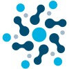 the ima group